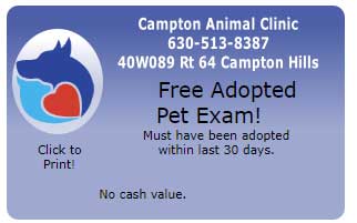 Free Adopted Pet Exam