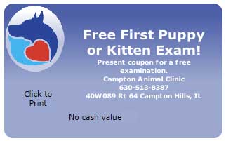 Puppy or Kitten Exam