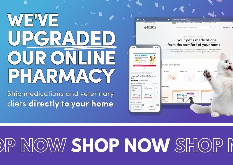 Carousel Slide 2: Check out our new and improved online pharmacy and pet store!